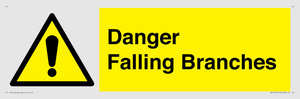 Danger Falling Branches